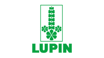 Lupin